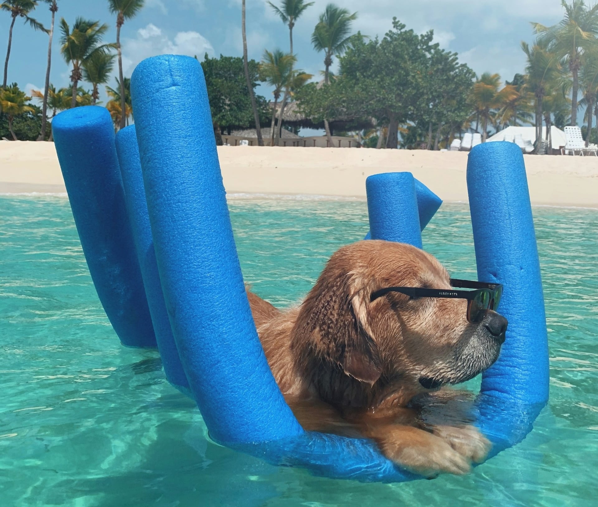 Summer Travel Series: Boarding Basics