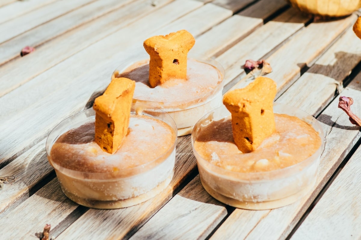Cold DIY Doggie Treats Your Pup Will Love