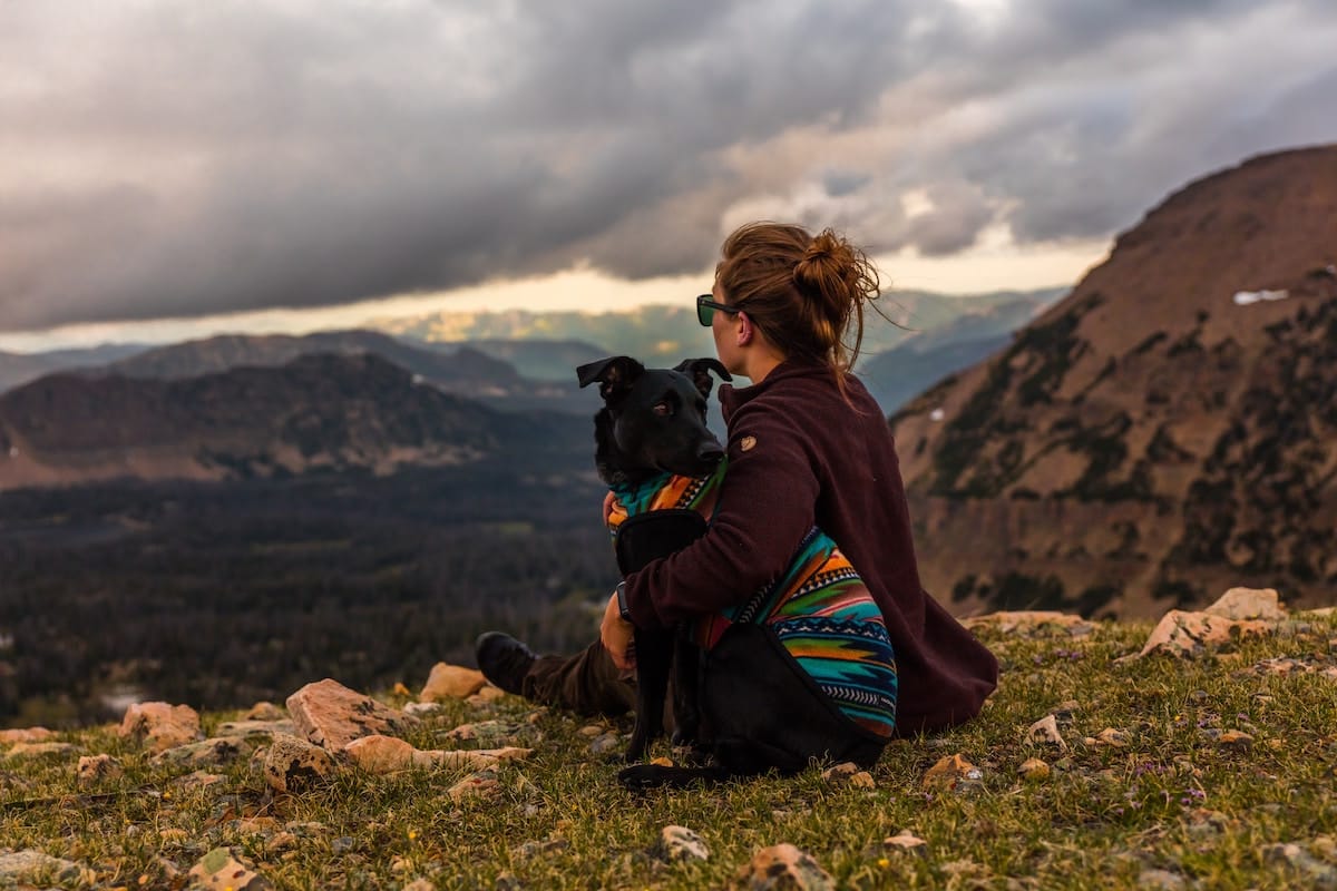 6 Winter Hikes Near Denver that Everypuppy Can Enjoy