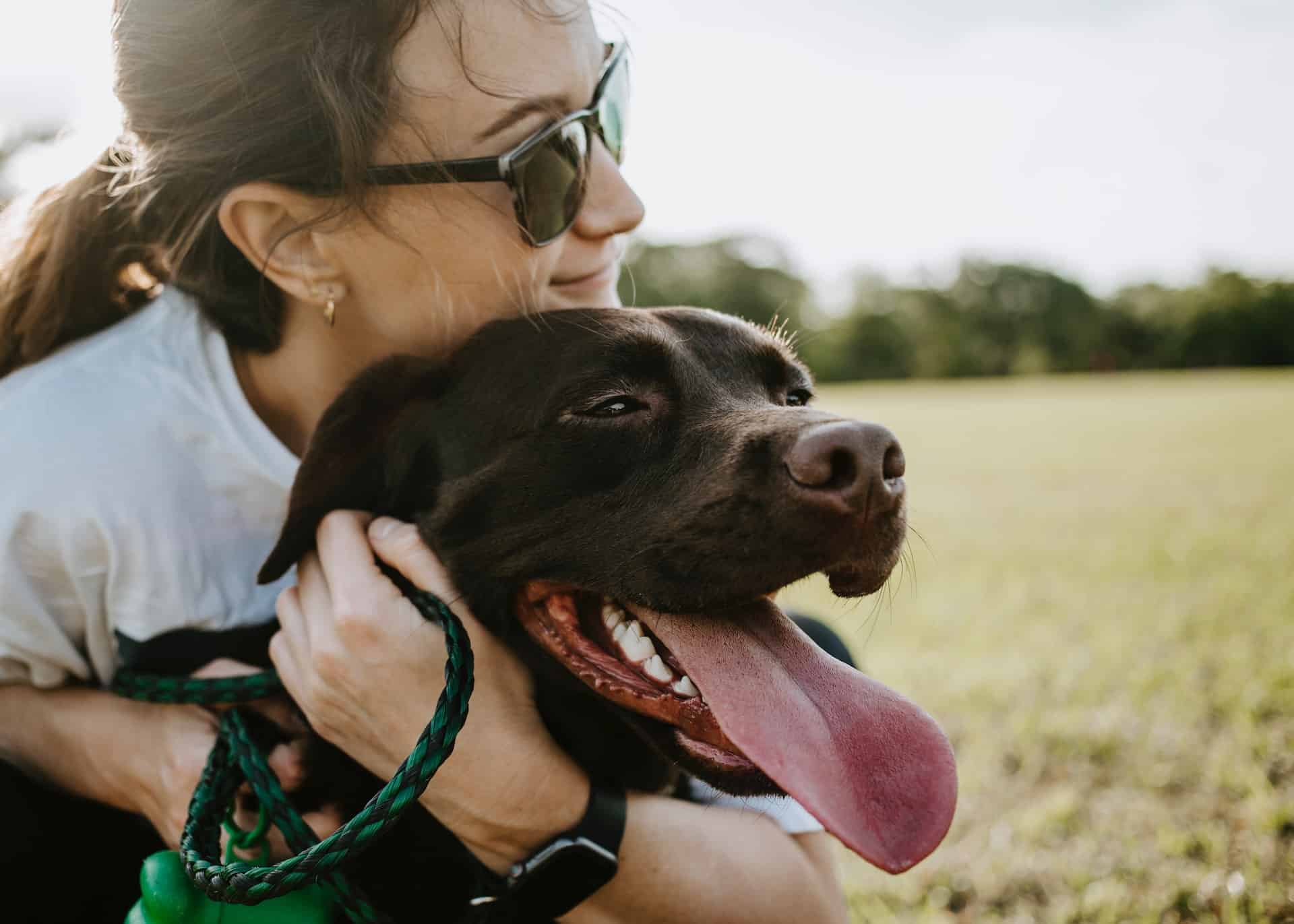What to Do When You Need to Leave Your Dog on Vacation