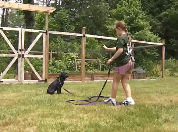 9-Year-Old Girl Trains Puppy to Become Seeing Eye Dog