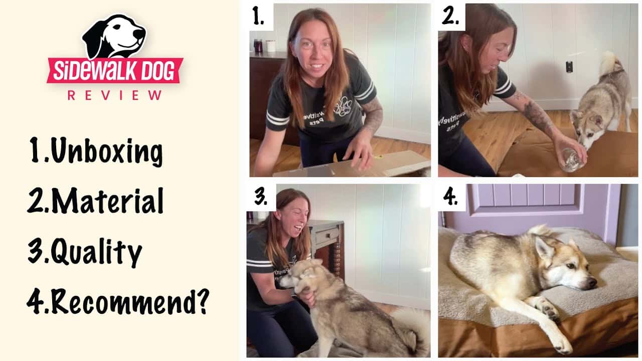 Carhartt Firm Duck Dog Bed with Sherpa Top Review