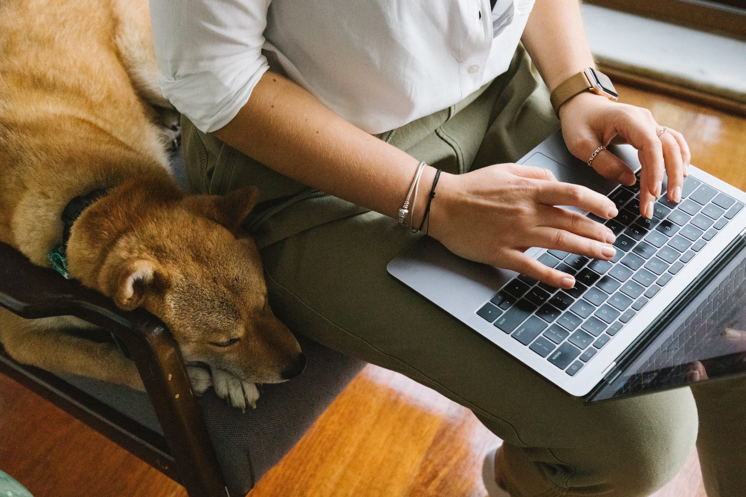 Trend: Dog-Friendly Workplaces in Texas