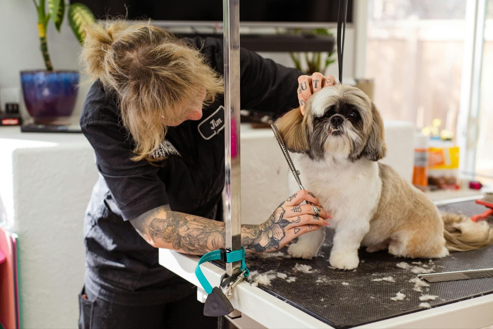 How Much Should You Tip a Dog Groomer?