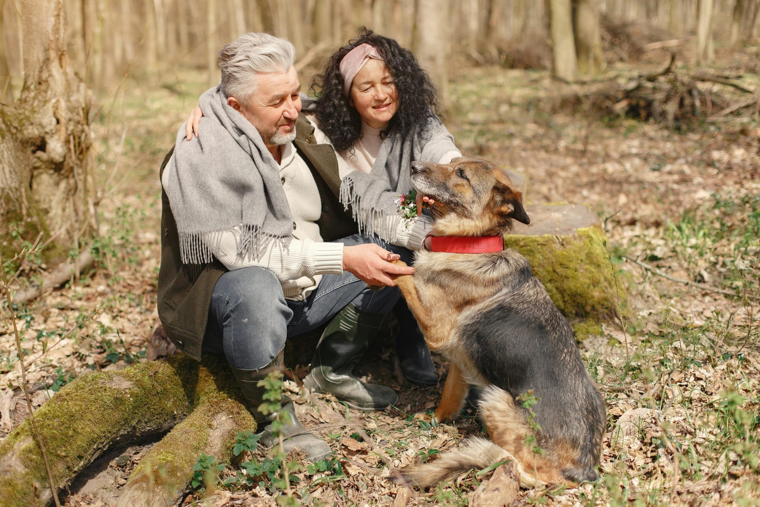 Choosing a Name for Your New Senior Dog