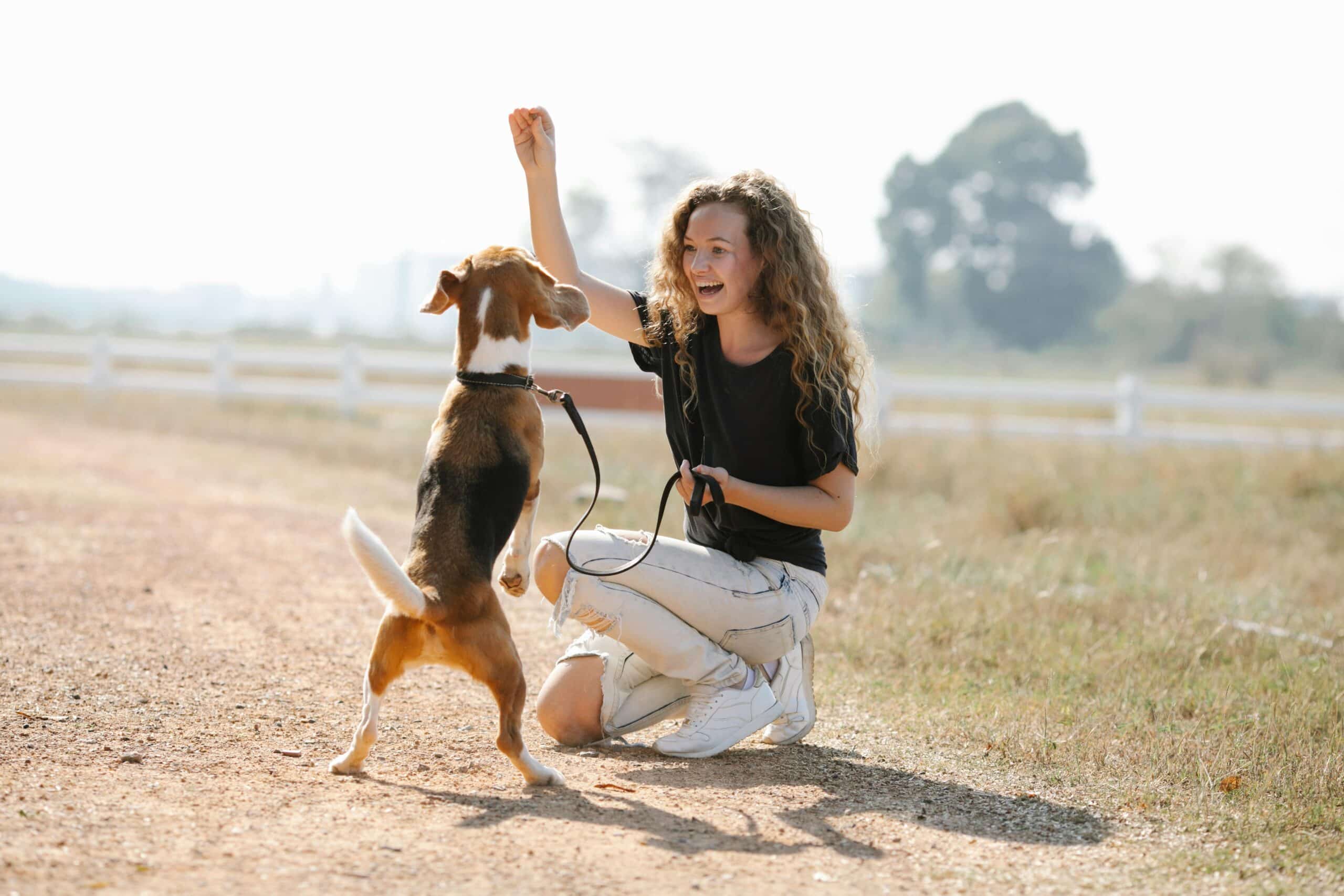 6 Things That Annoy Your Dog Trainer