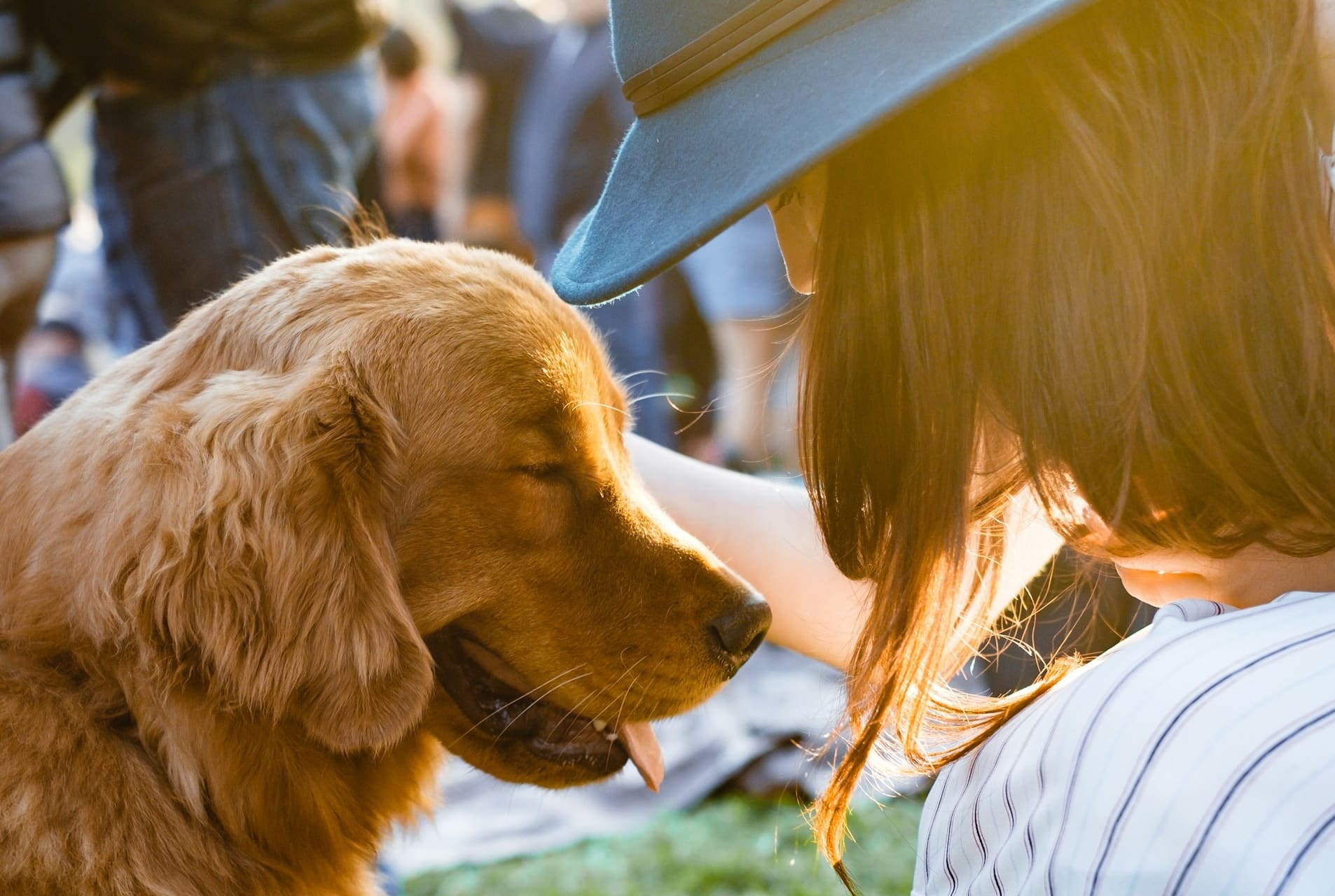 10 tips to keep pups pleasant at festivals, farmer’s markets and all summer long.