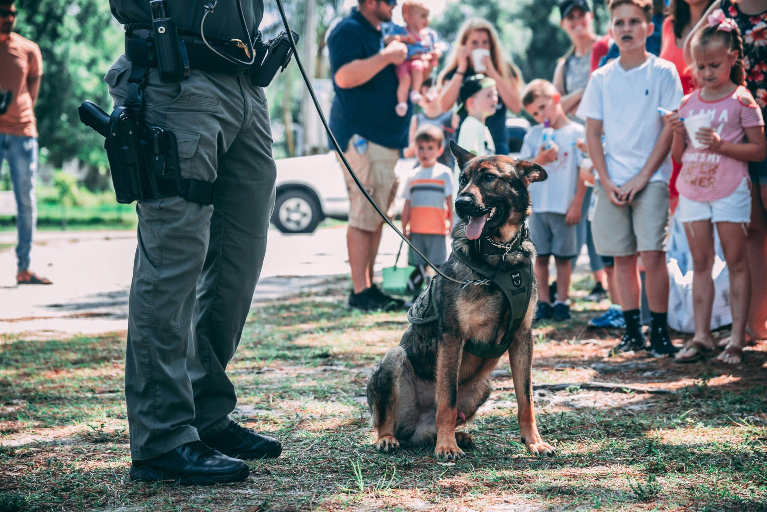 Our Nation’s Quiet Heroes: A Brief History of Police Dogs