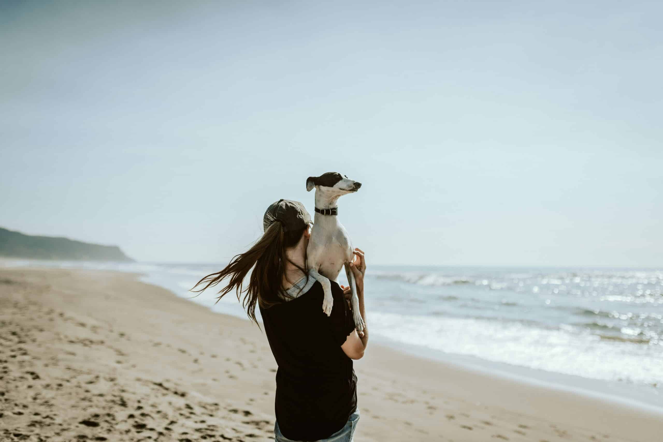 10 Dog Friendly Beaches in Florida
