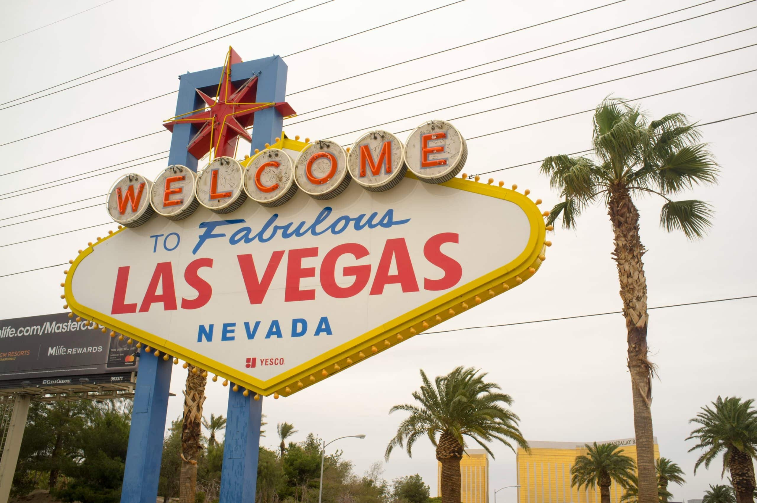 8 Best Dog-Friendly Hotels in Las Vegas (2025)