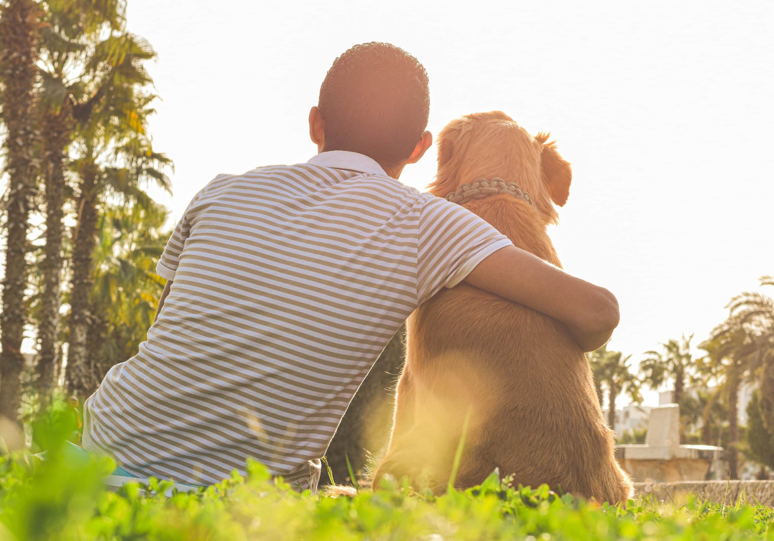 The Benefits of Dog Socialization and How to Do It Right