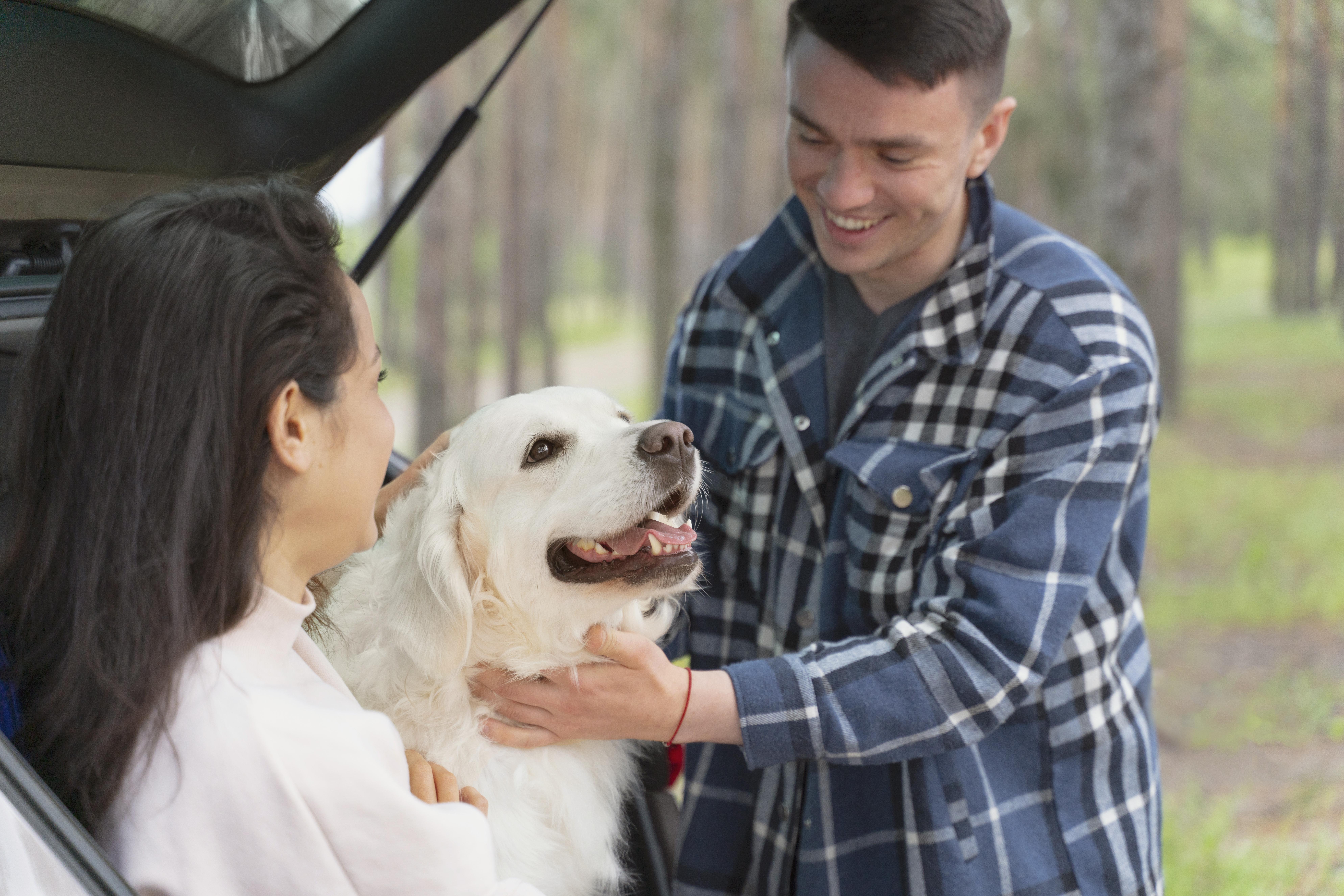 Can Dogs Have Autism?