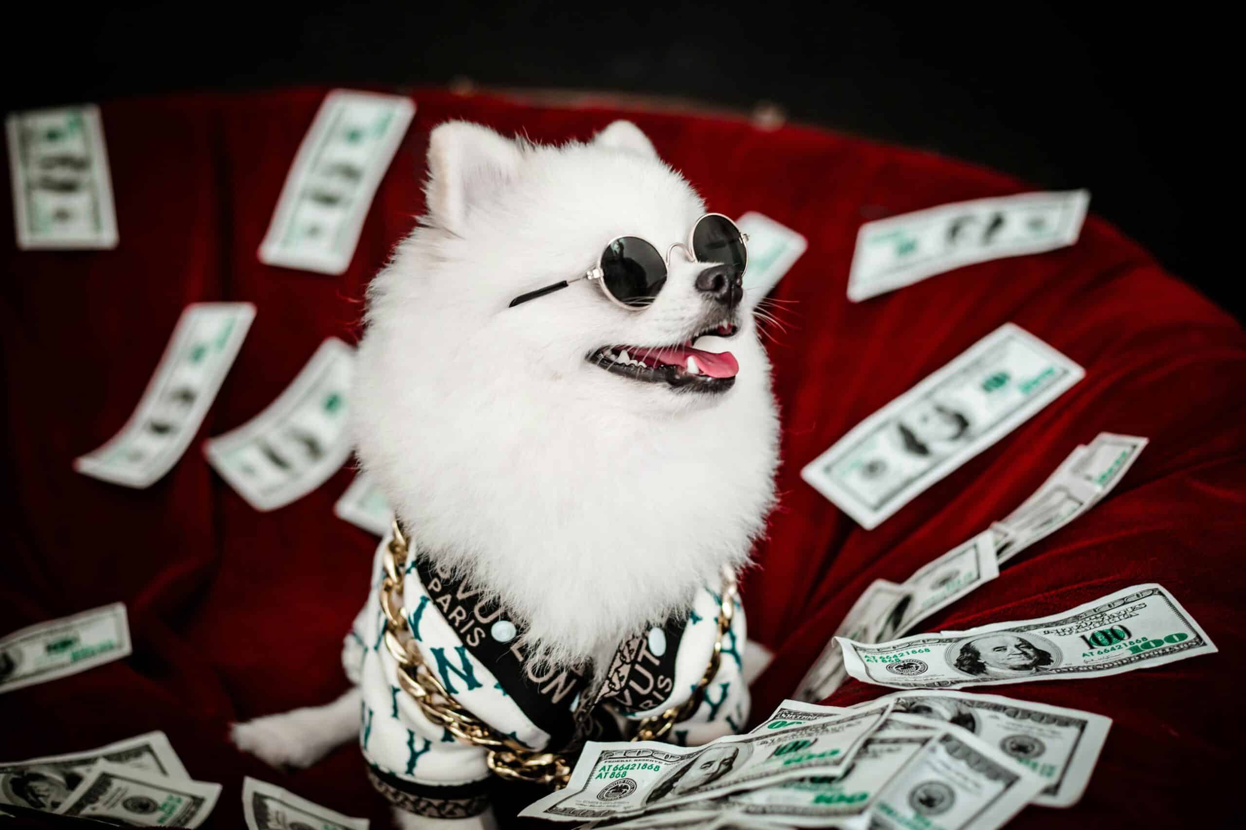 Slash Your Dog Expenses: Save $2000 a Year (or More!)