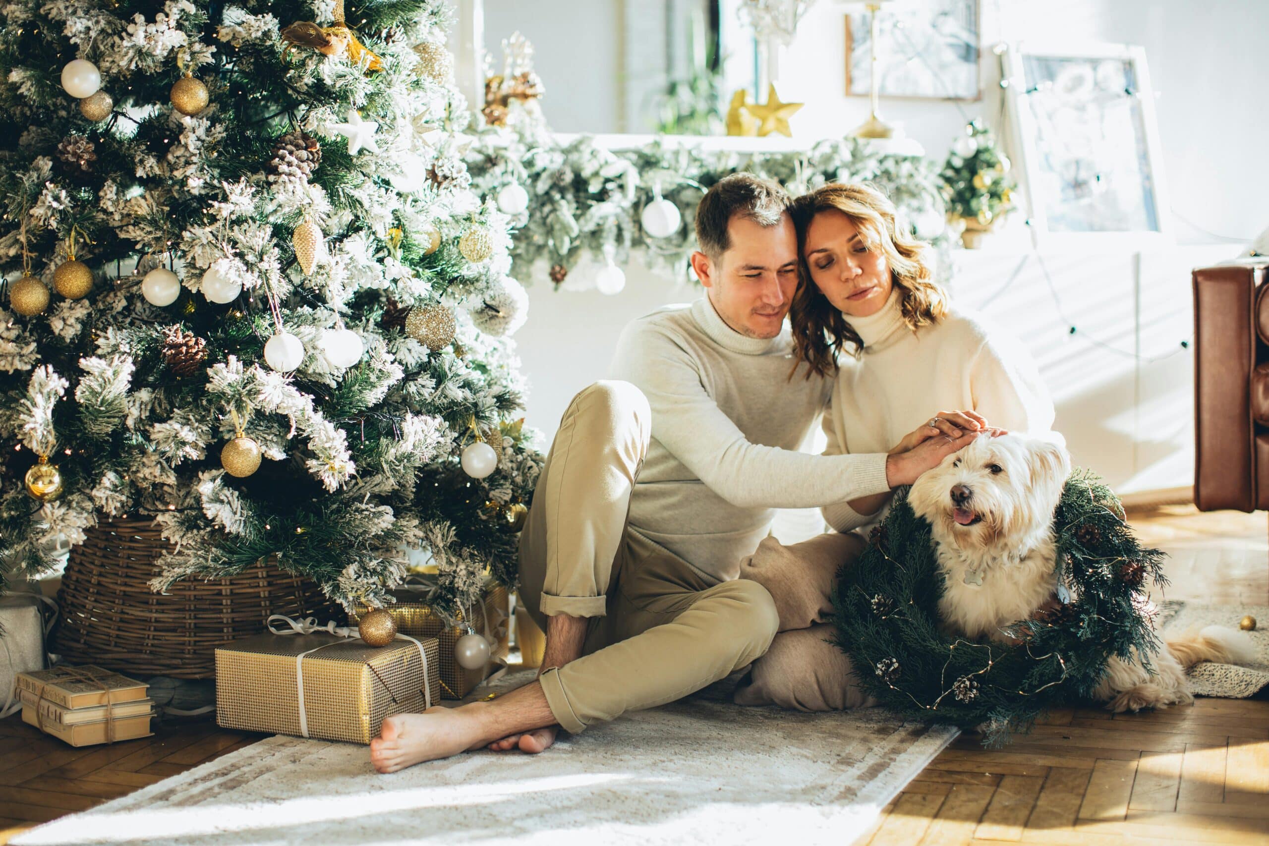 Holiday Traditions to Start With Your Dog