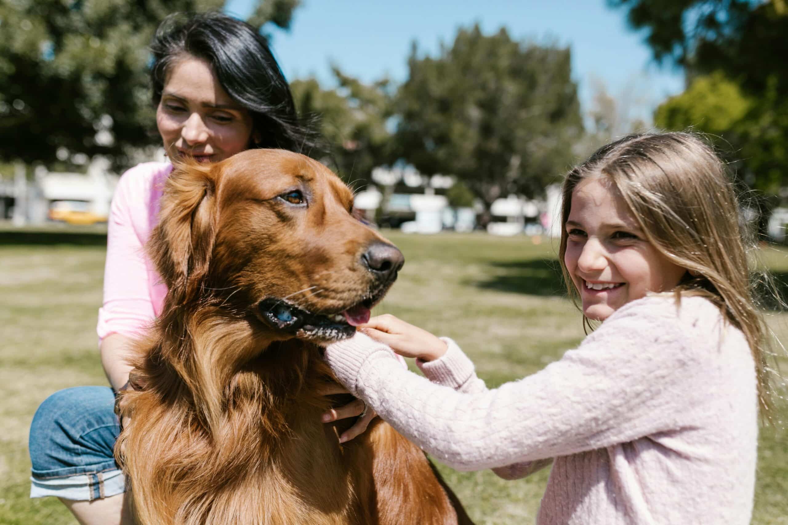 Teaching Children About Responsible Dog Care
