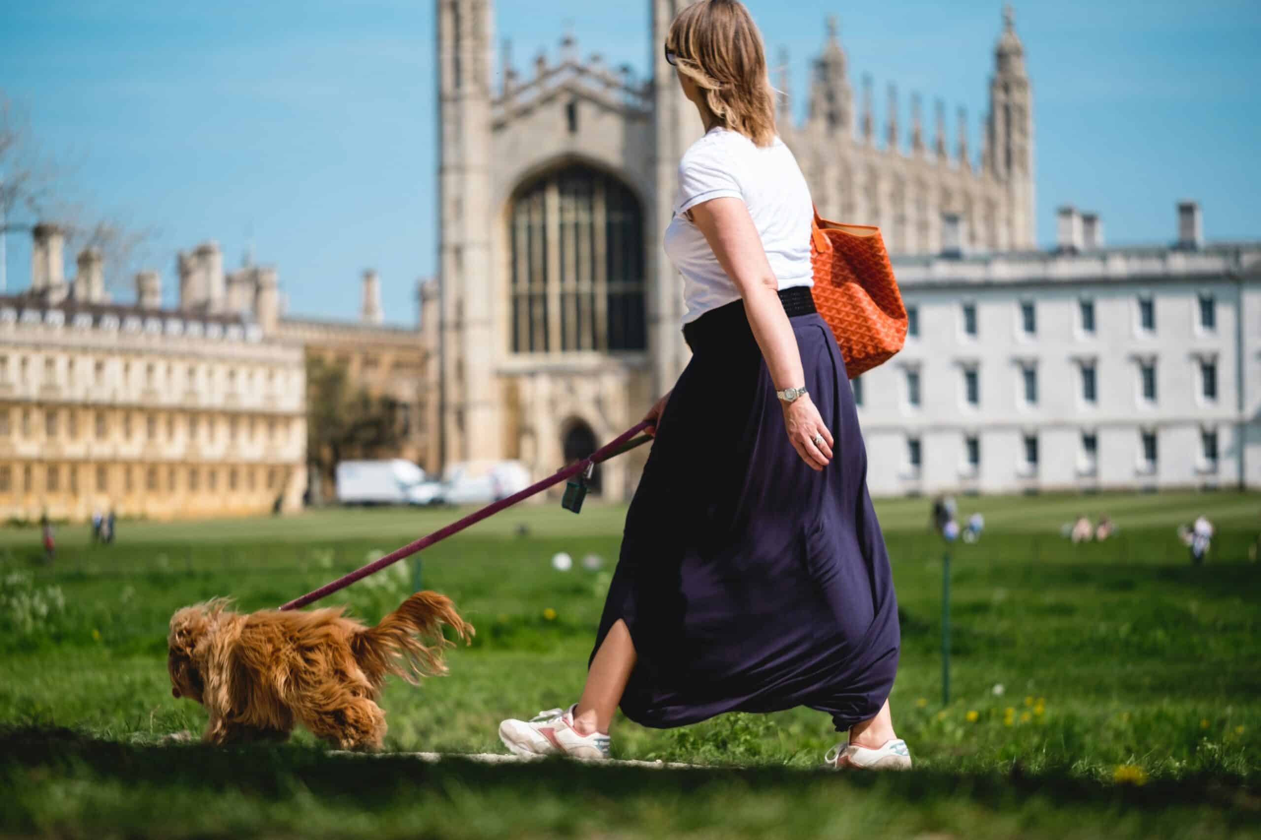 How to Make Your Daily Walks More Fun for You and Your Dog
