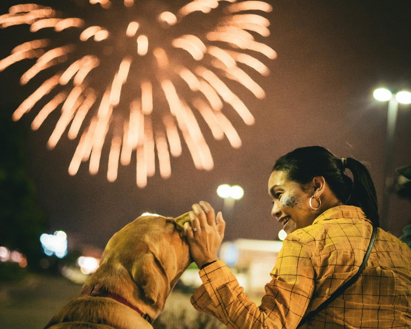 8 Tips for a Stress-Free New Year’s Eve With Your Dog