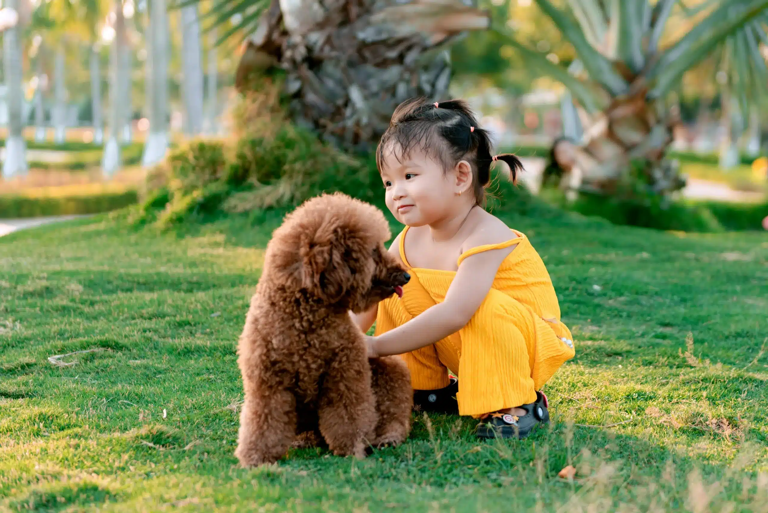 11 Reasons Poodles Are Perfect for Kids and Families