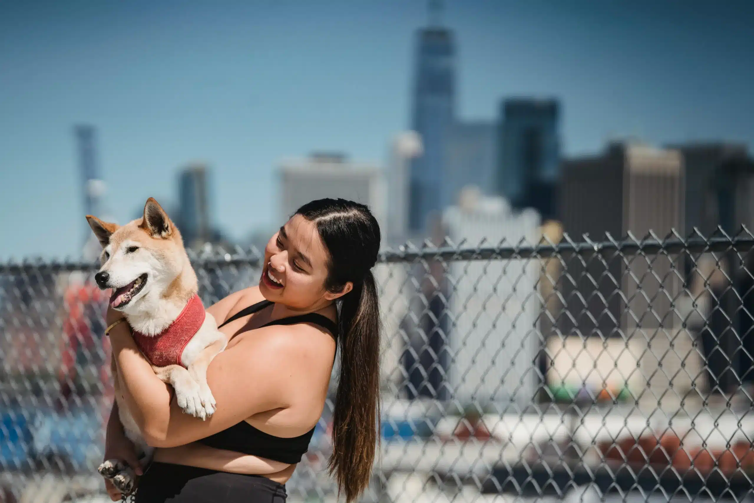 Dog-Friendly Rooftop Yoga Classes Transform Urban Wellness