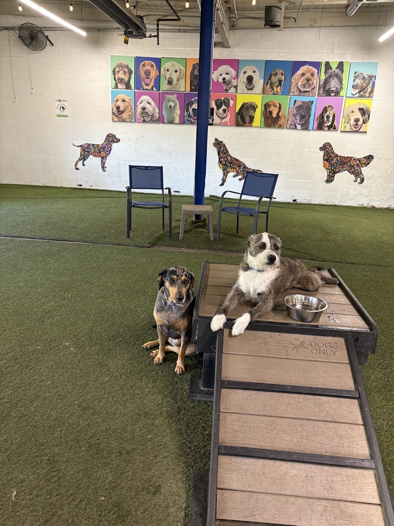 Taps & Tails photo 2