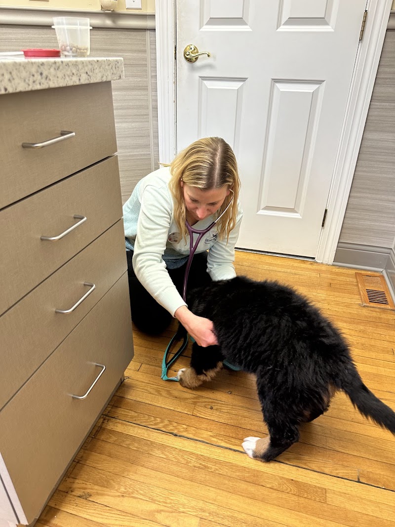 Grand Avenue Veterinary Center photo 2