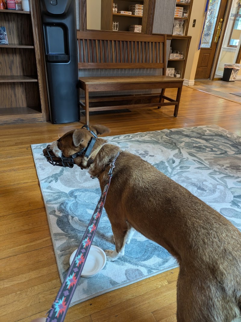 Grand Avenue Veterinary Center photo 3