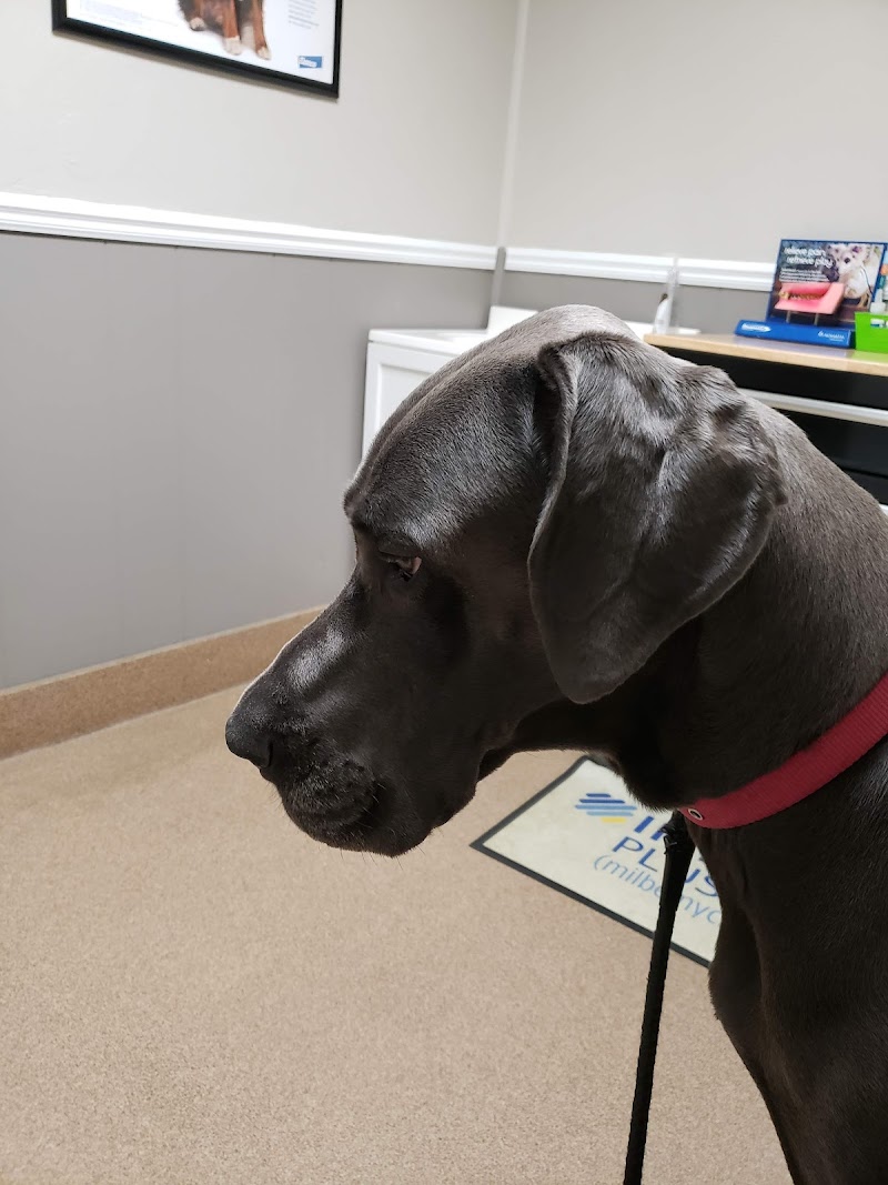 Advanced Veterinary Medical Center