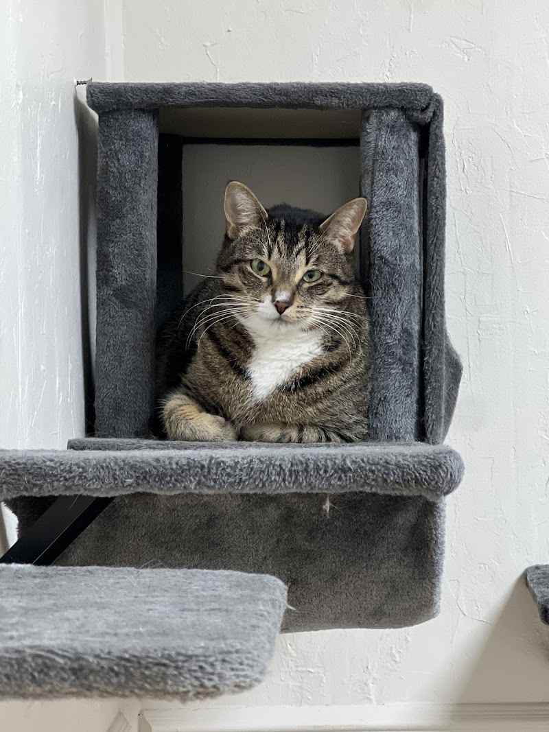 Advanced Veterinary Medical Center photo 2