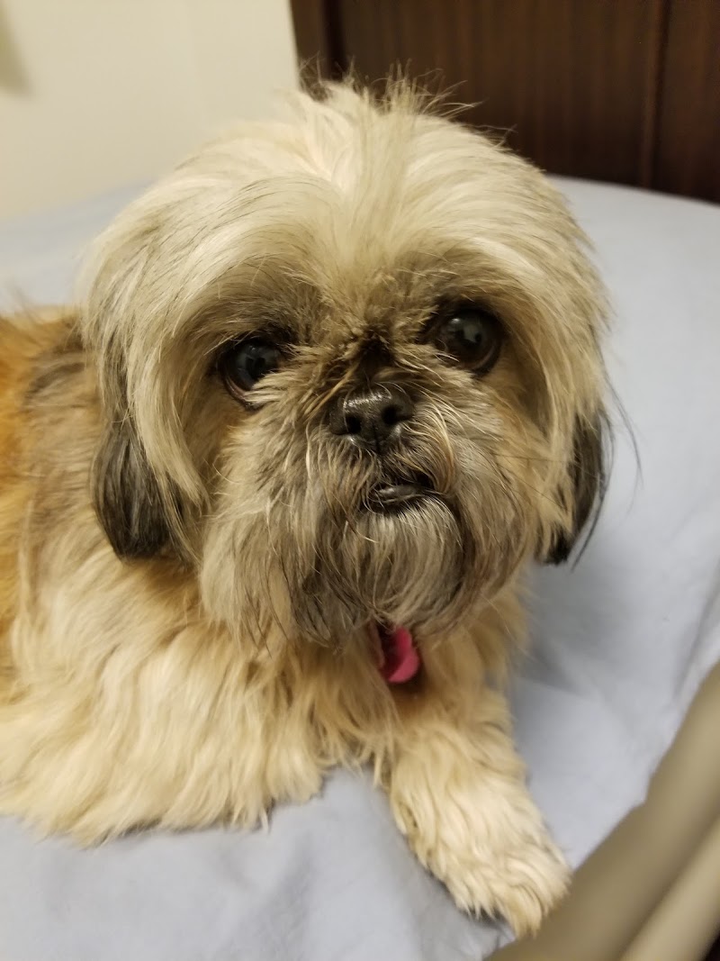 Rakestraw Animal Hospital