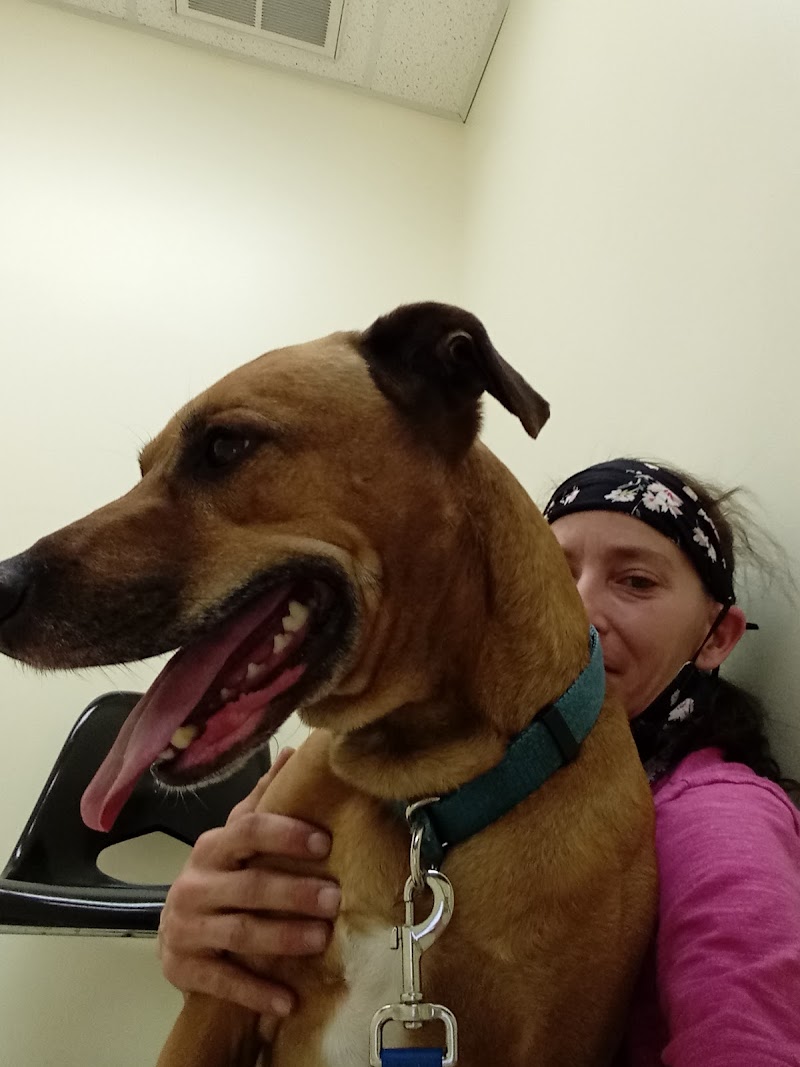 Riverview Animal Hospital