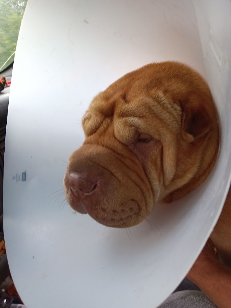 Riverview Animal Hospital photo 2