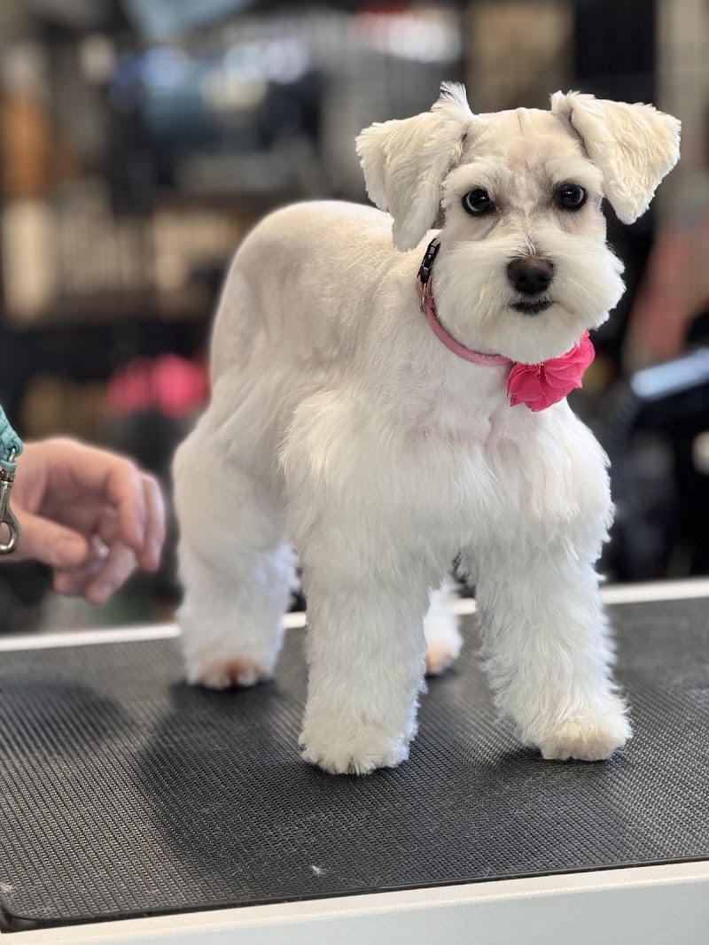 Riverview Animal Hospital photo 3