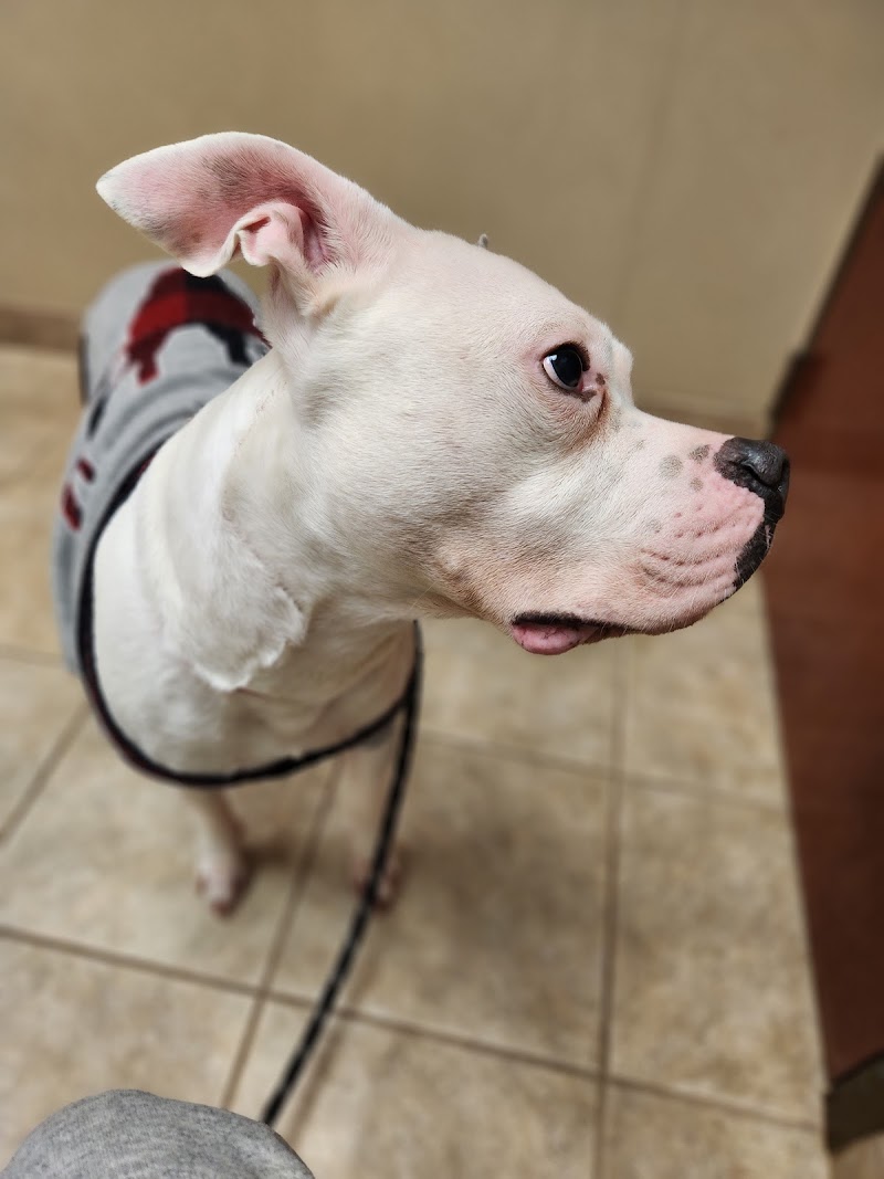 Cleveland Veterinary Clinic photo 2