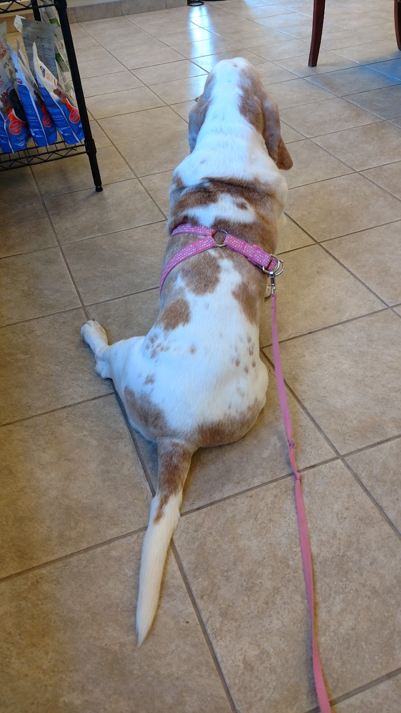 Cleveland Veterinary Clinic photo 3