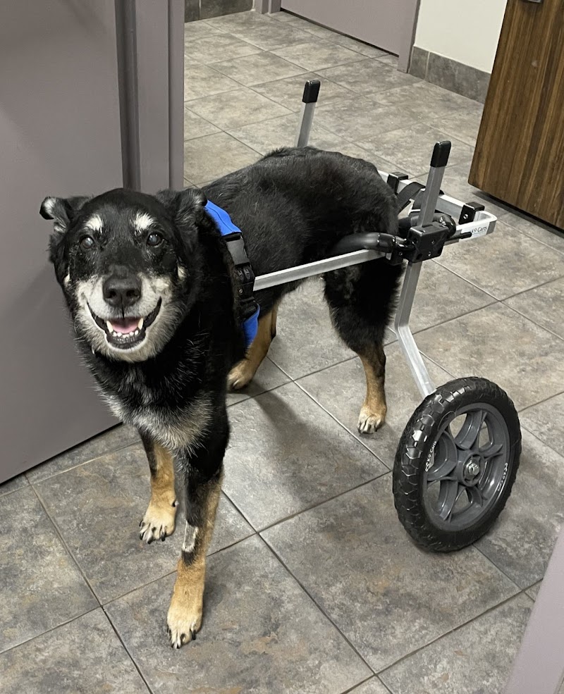 Kenwood Pet Clinic photo 2