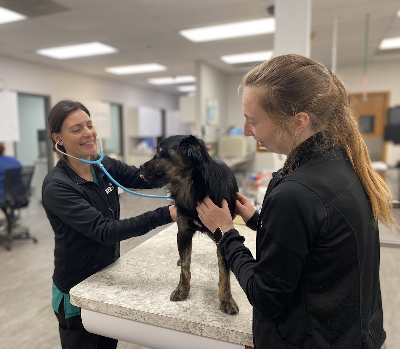 VCA Naper Ridge Animal Hospital