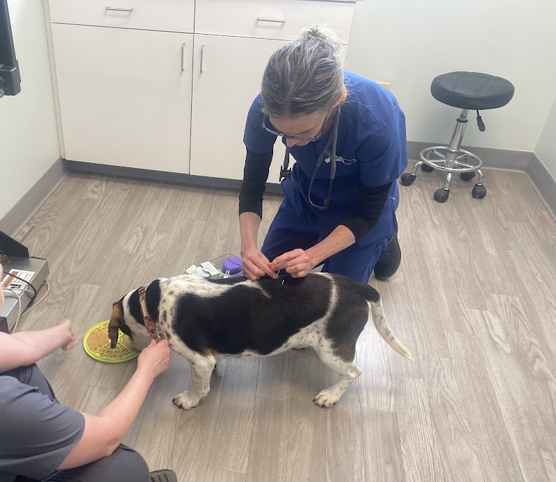 VCA Naper Ridge Animal Hospital photo 2