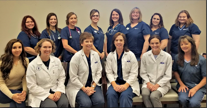 VCA Naper Ridge Animal Hospital photo 3