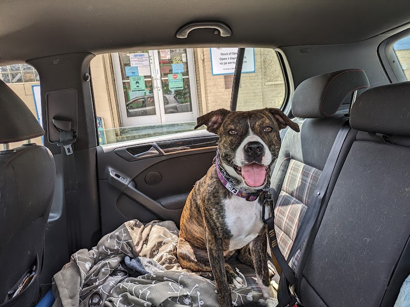 Detroit Animal Care and Control photo 3