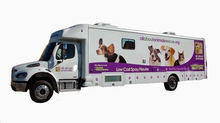 All About Animals Rescue