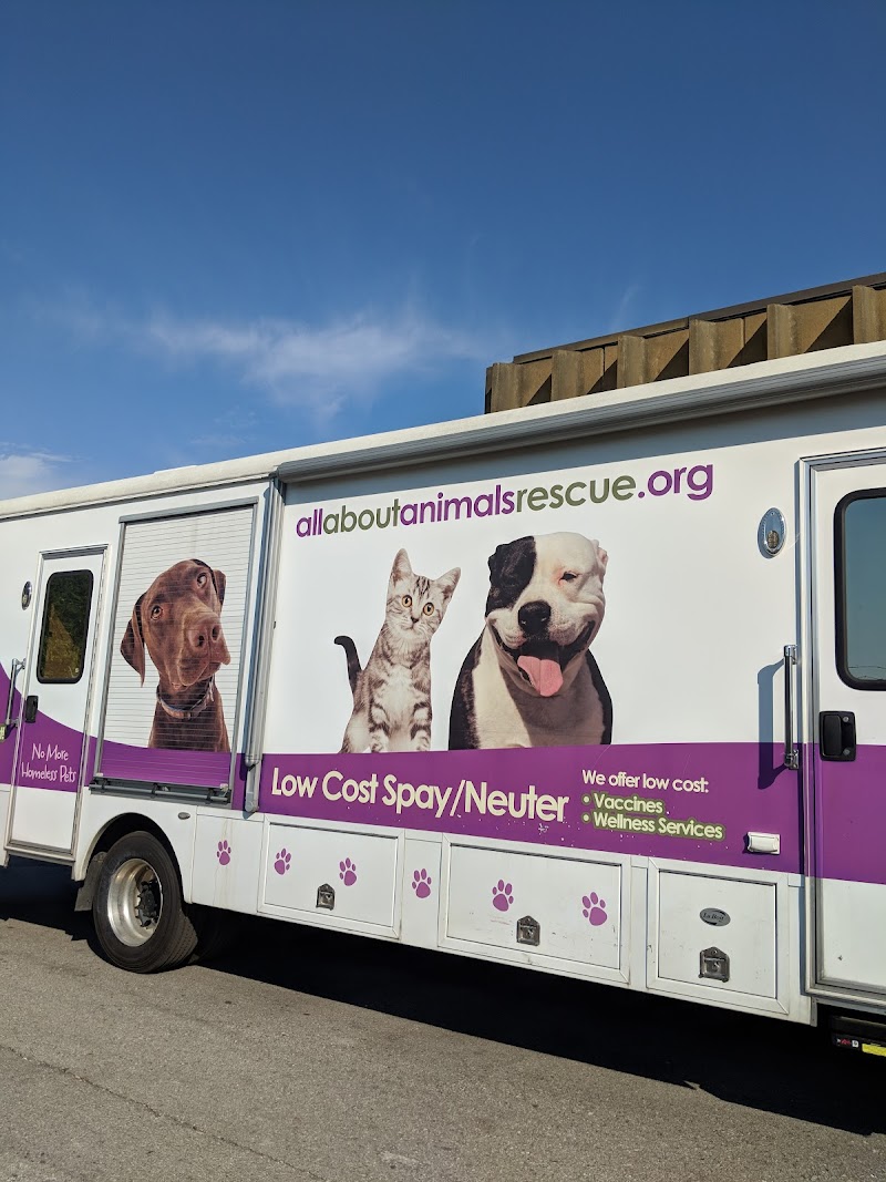 All About Animals Rescue photo 2