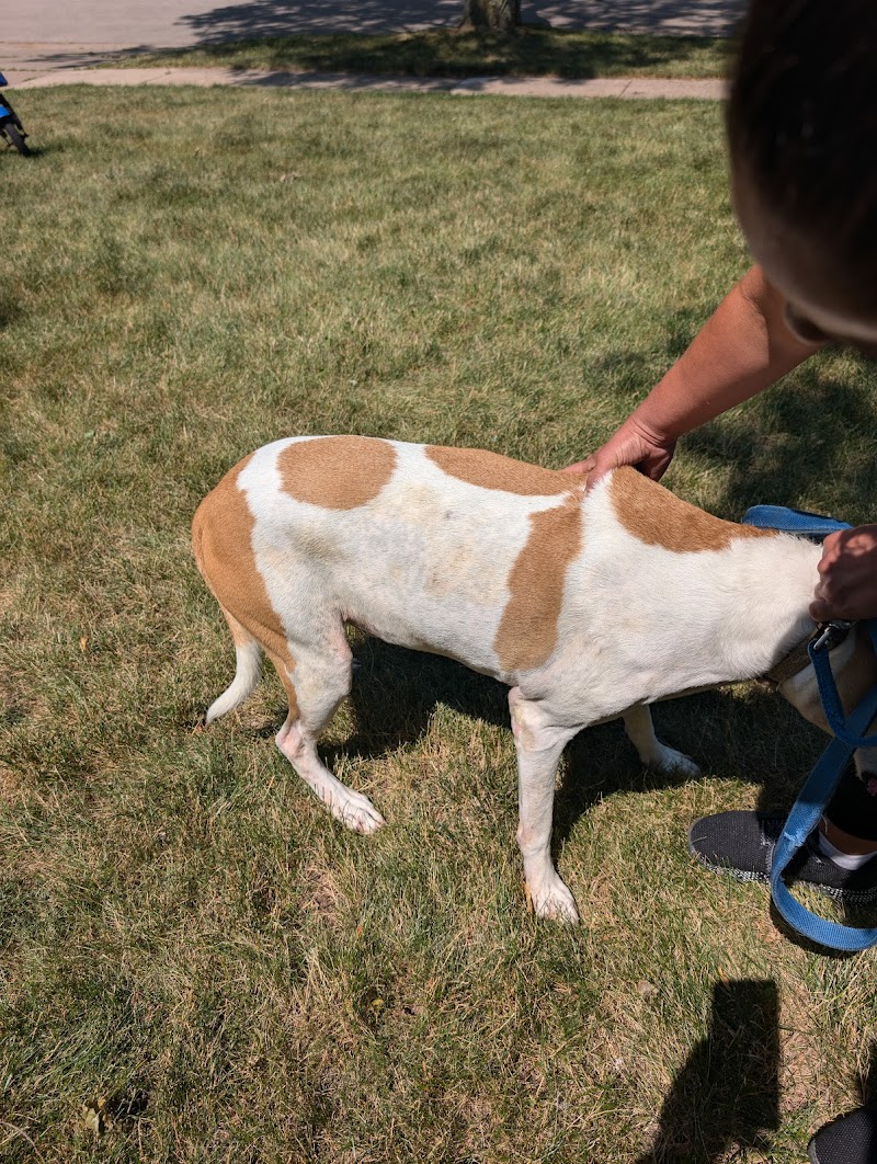 The Dog Waggin photo 2