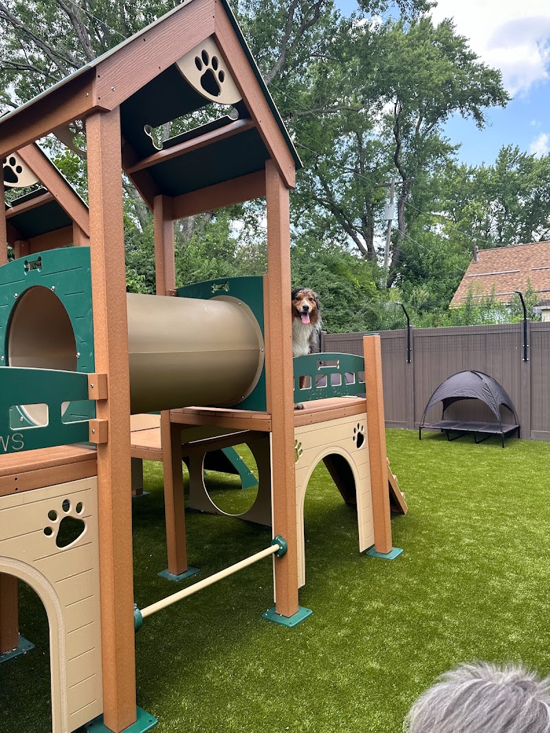 The Dog Waggin photo 3