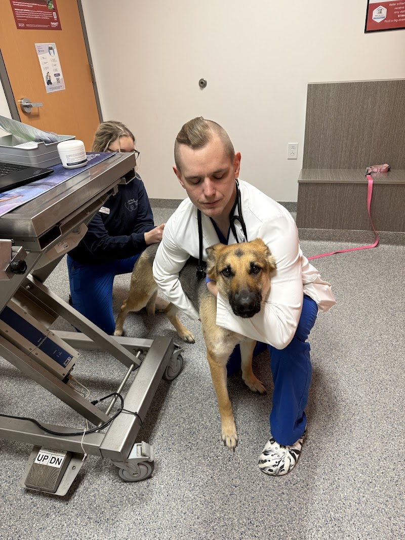 30th Street Animal Hospital