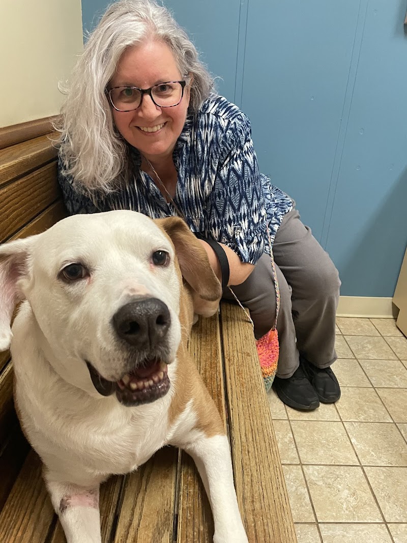 30th Street Animal Hospital photo 2