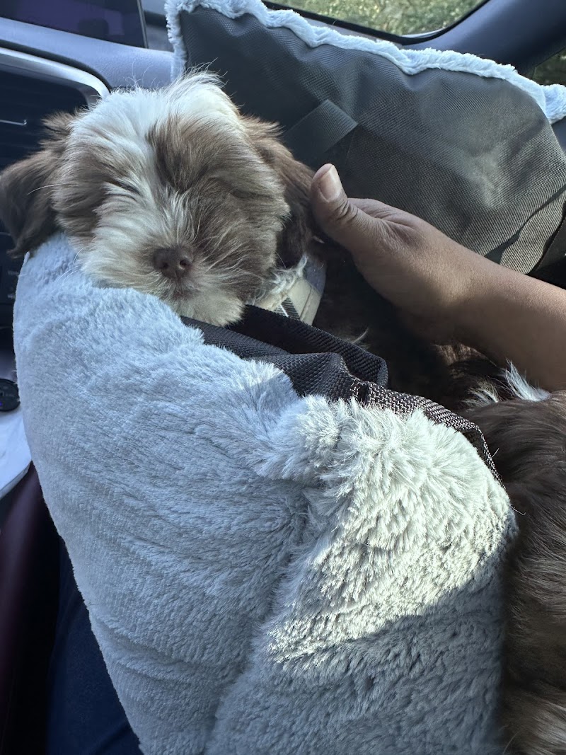 30th Street Animal Hospital photo 3