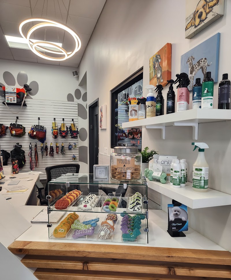 City Paws Pet Club photo 3