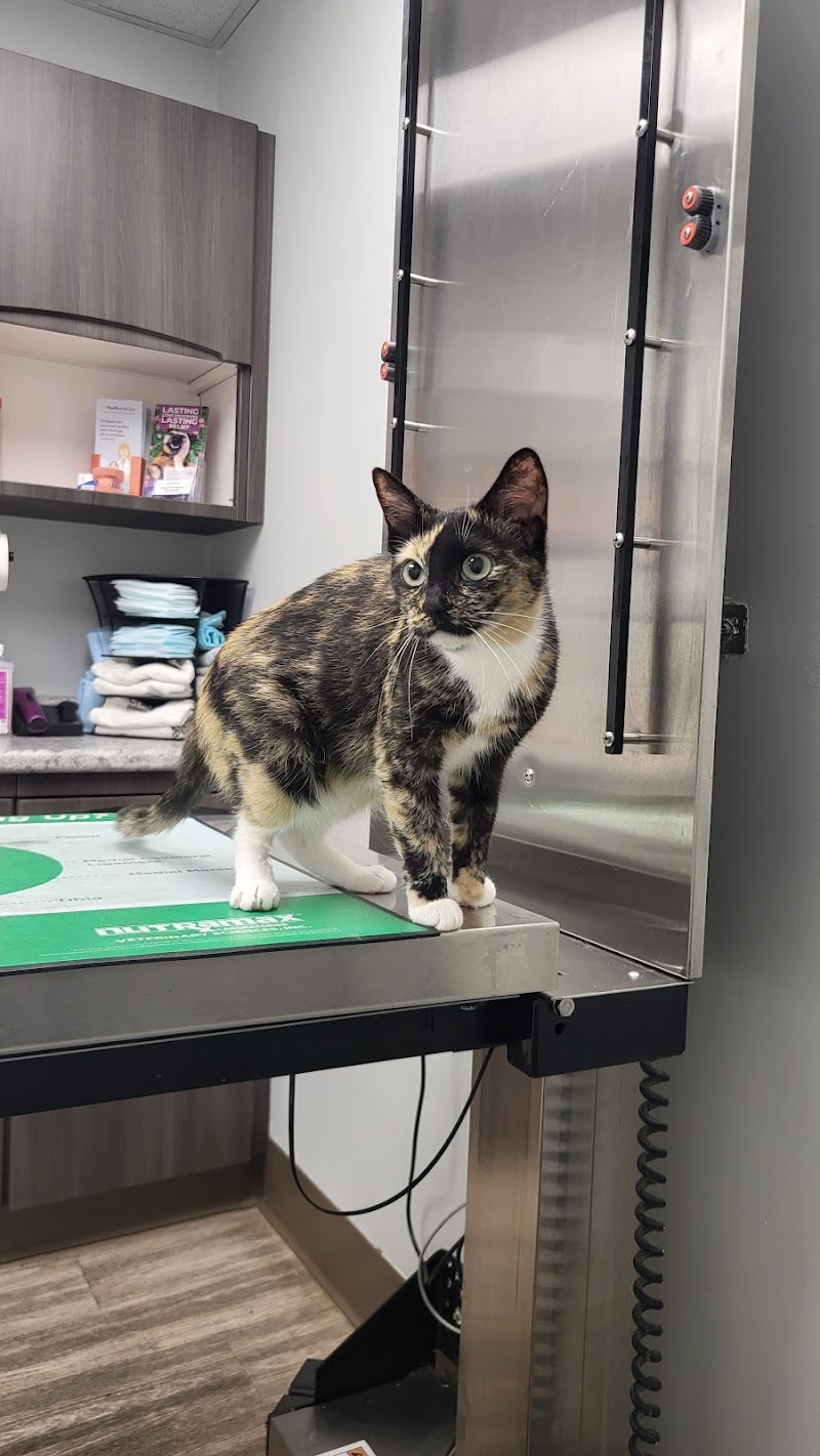 The Family Pet Clinic photo 2