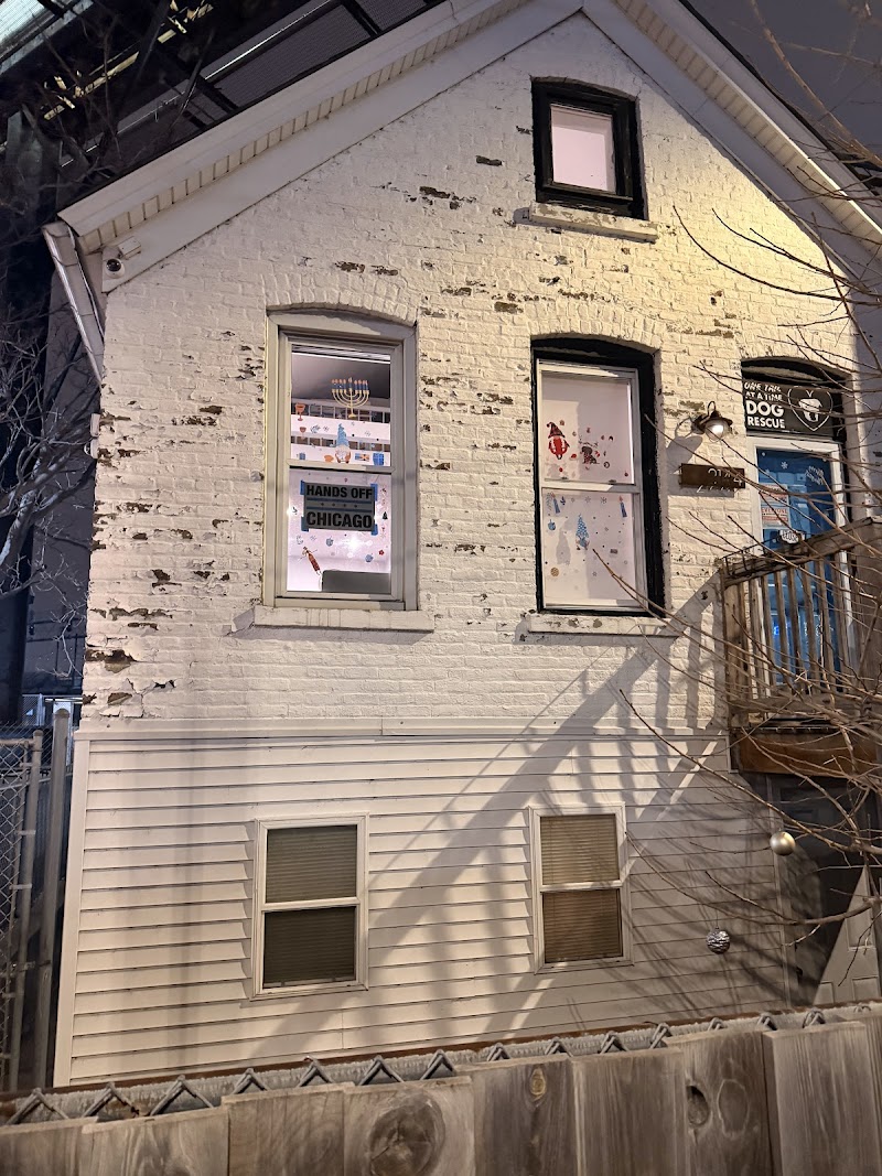 One Tail at a Time photo 2