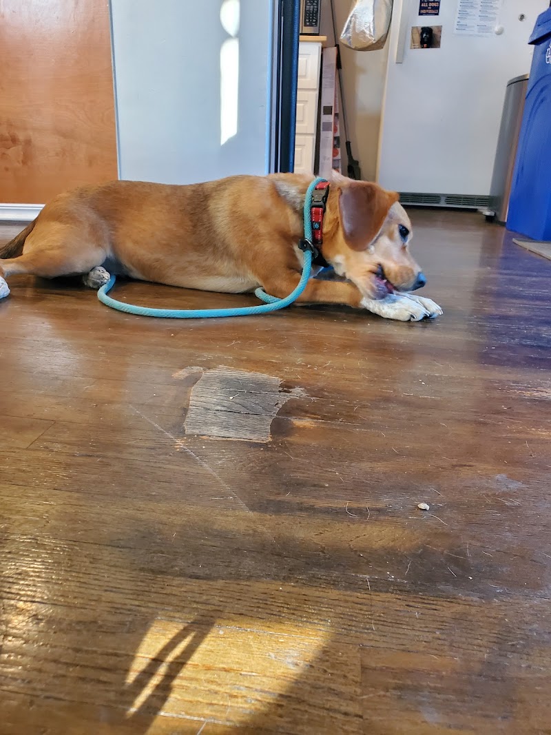 One Tail at a Time photo 3